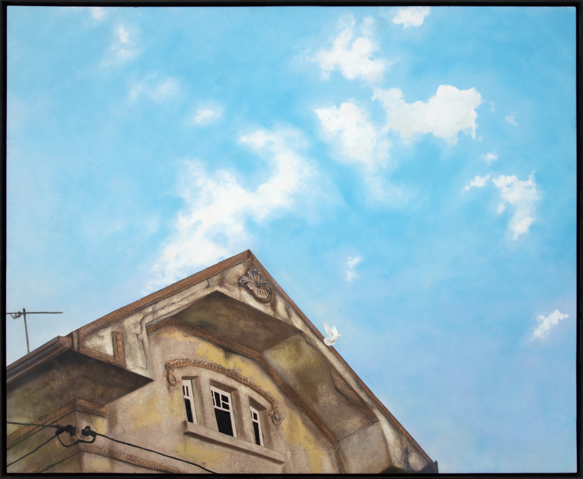 Edu Cardoso - Sem Título