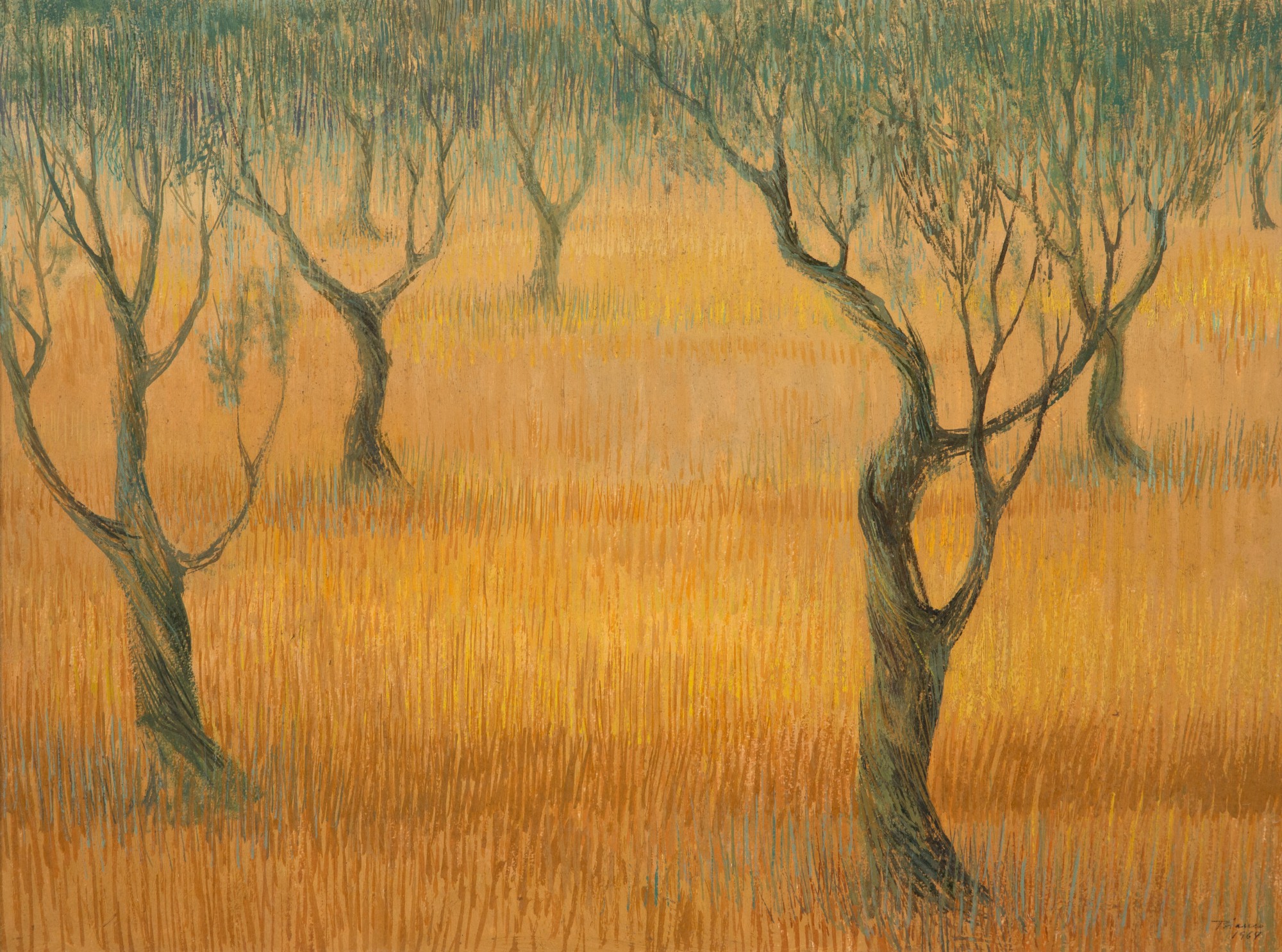 Enrico Bianco - Oliveiras