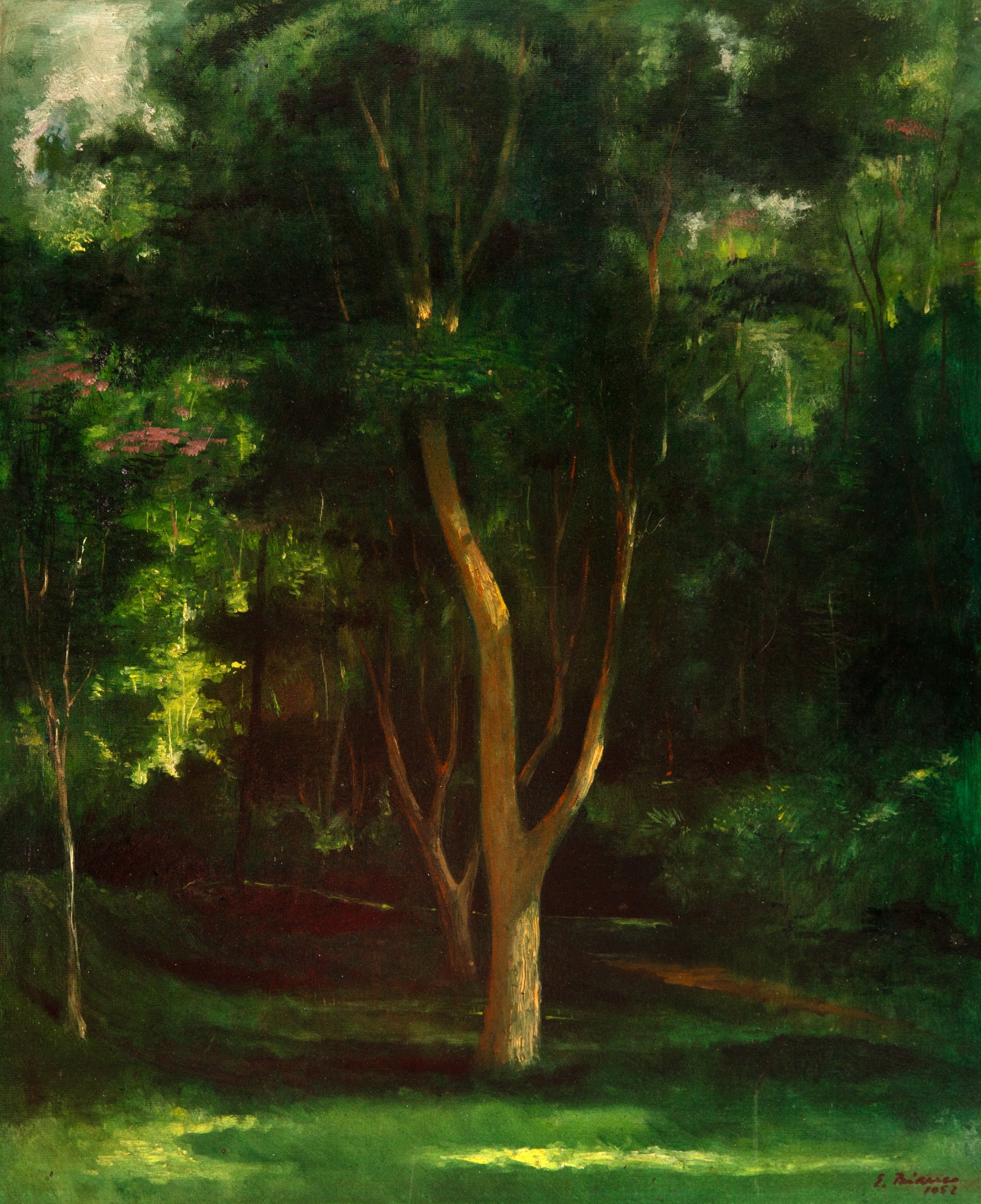 Enrico Bianco - Paisagem Com Árvores