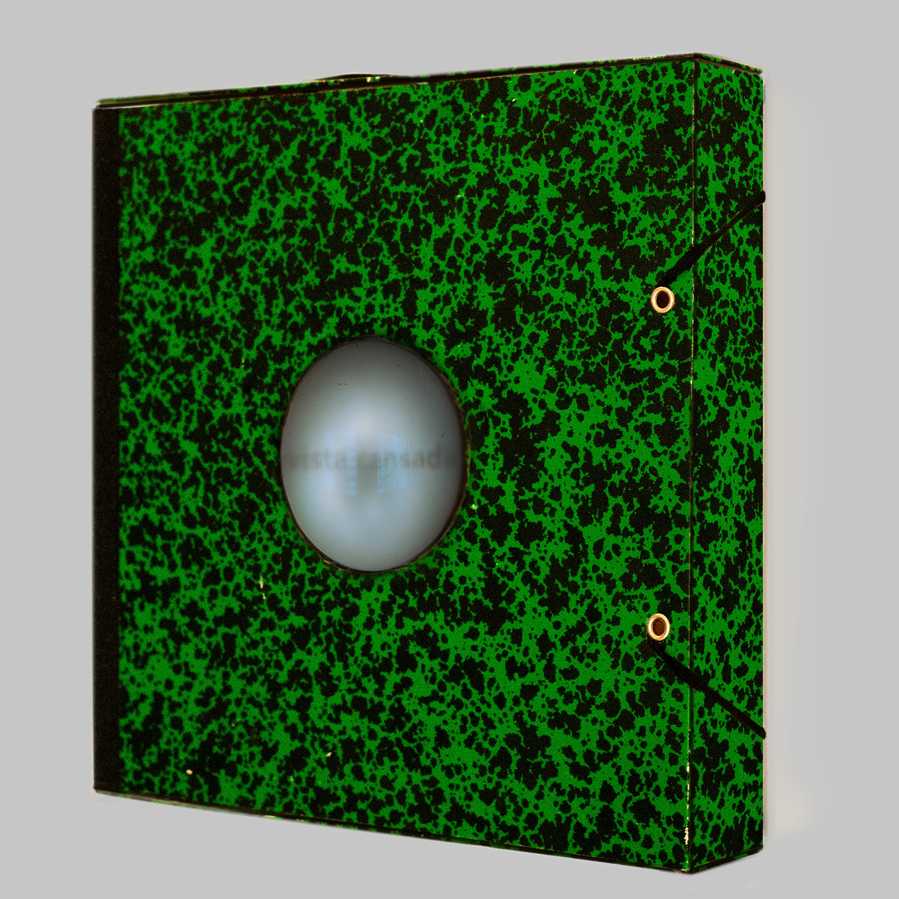 Erica Storer - Vista Cansada #1