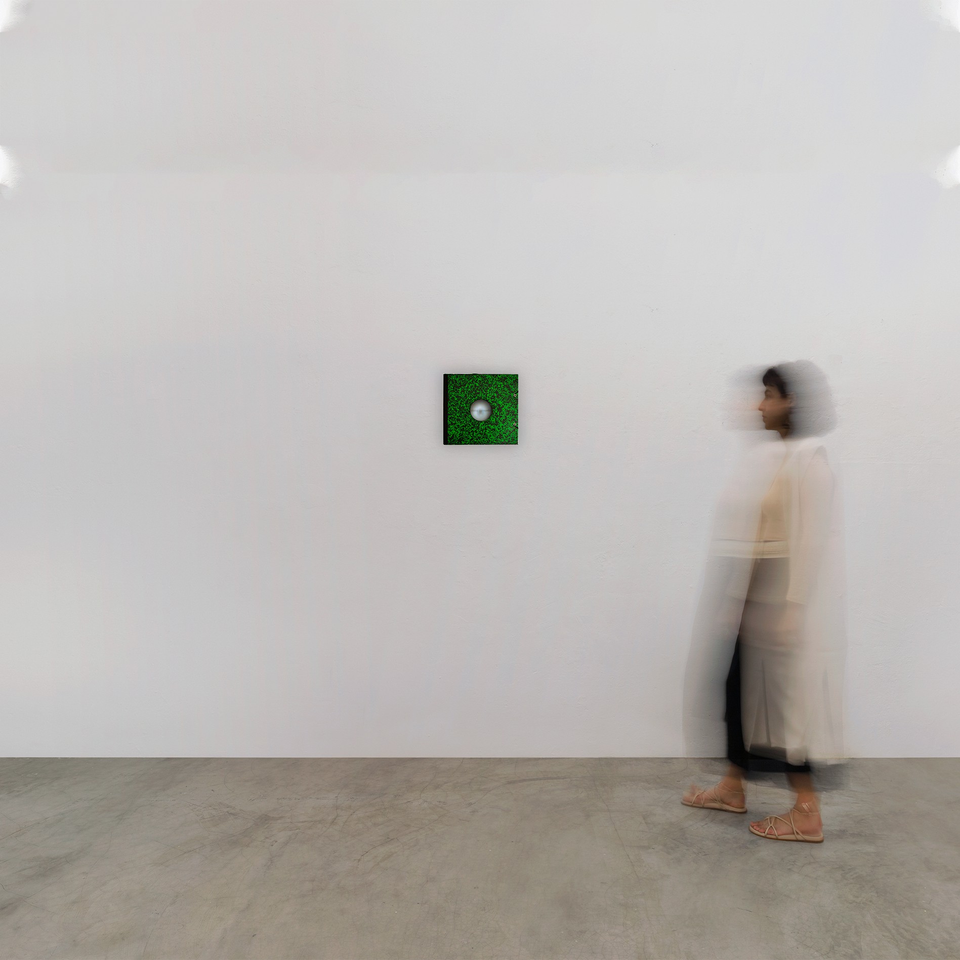 Erica Storer - Vista Cansada #1