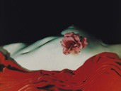 Erwin Blumenfeld - Nude With Camelia, N.Y.