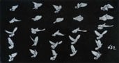 Étienne-jules Marey - Pigeon Dans les Attitudes D‘im Coup D‘aile