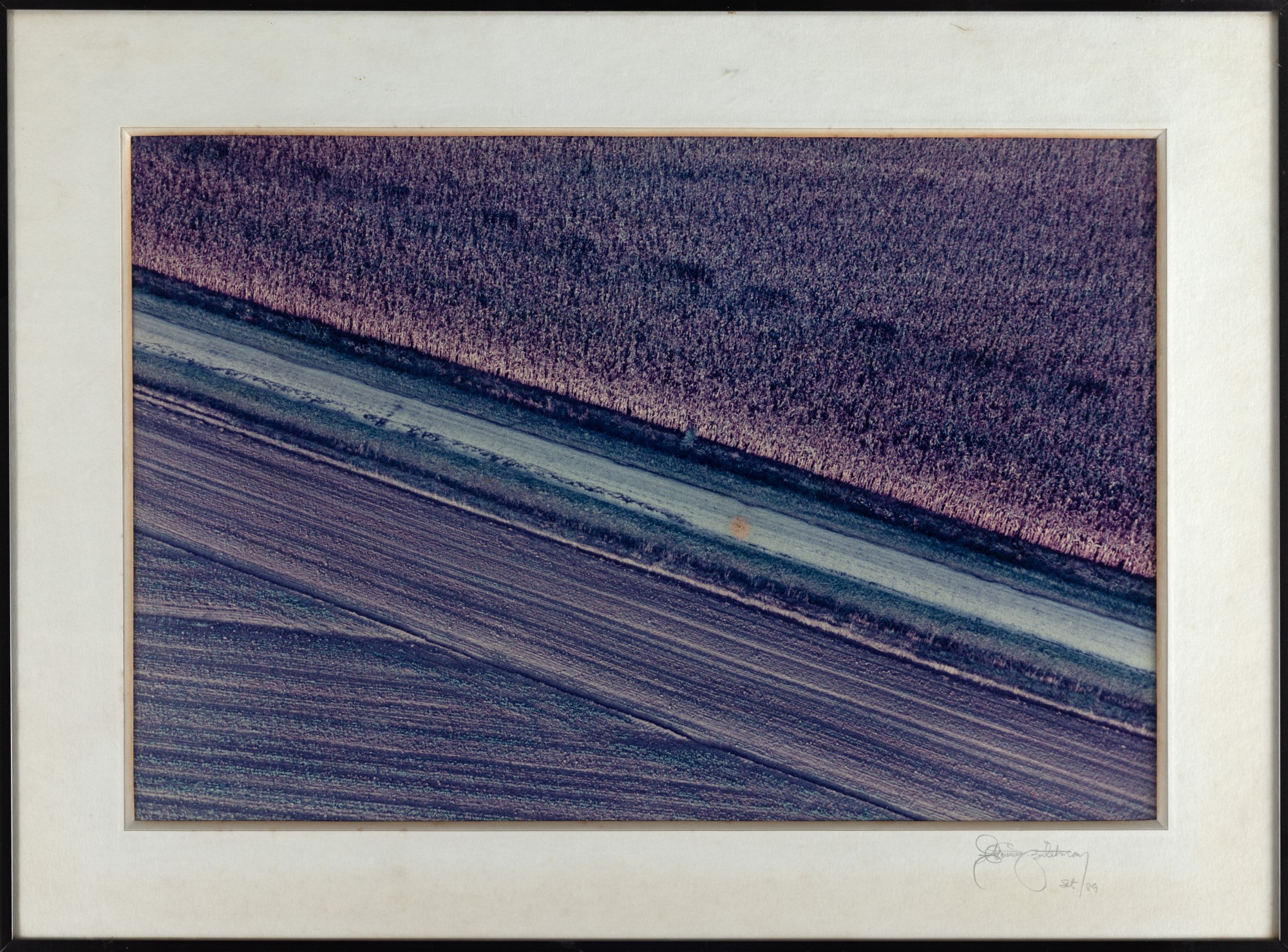 Flavio Bitelman - Untitled