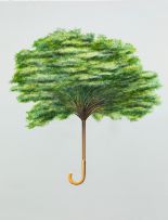 Flavio Lafraia - Umbrella Tree