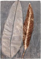 Frans Krajcberg - Folhas