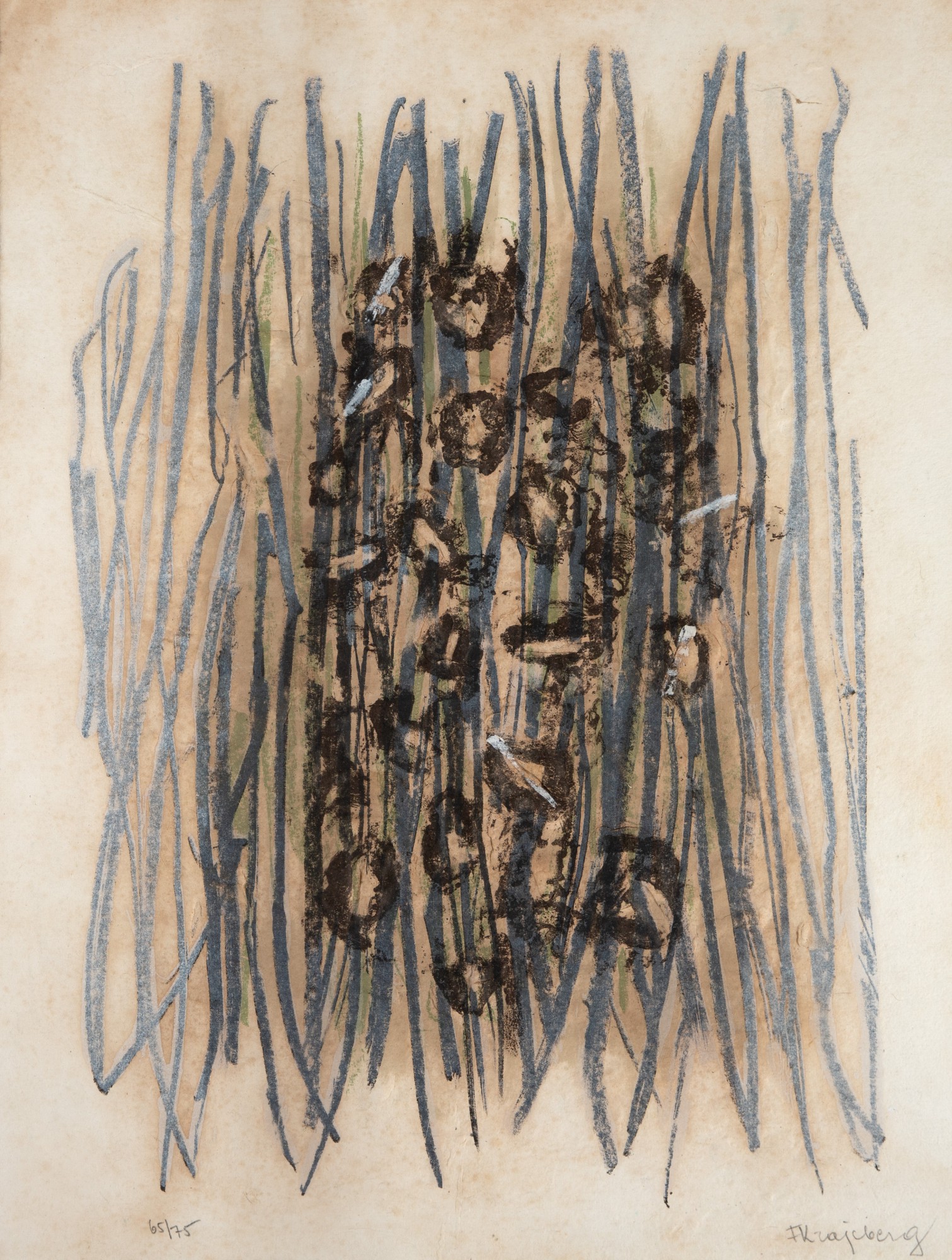 Frans Krajcberg - Relevo Interferências