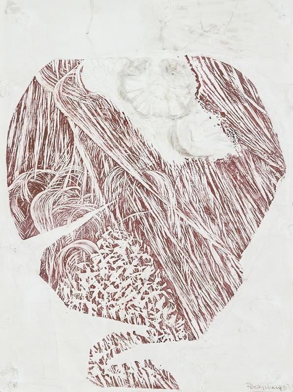 Frans Krajcberg - Relevo