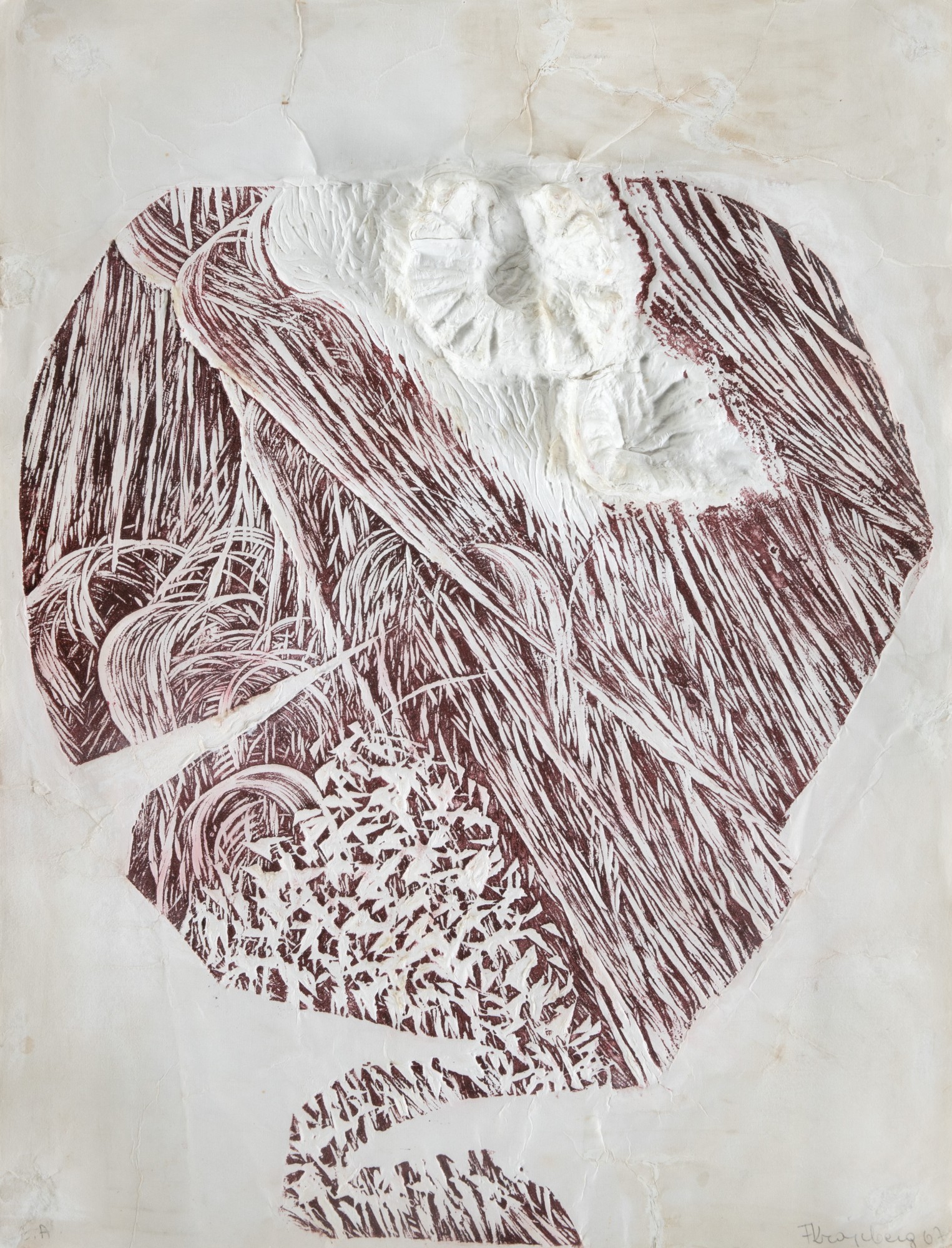 Frans Krajcberg - Relevo