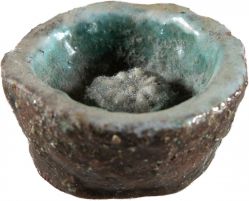 Fulvio Pennacchi - Sem Título