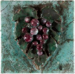 Fulvio Pennacchi - Uva