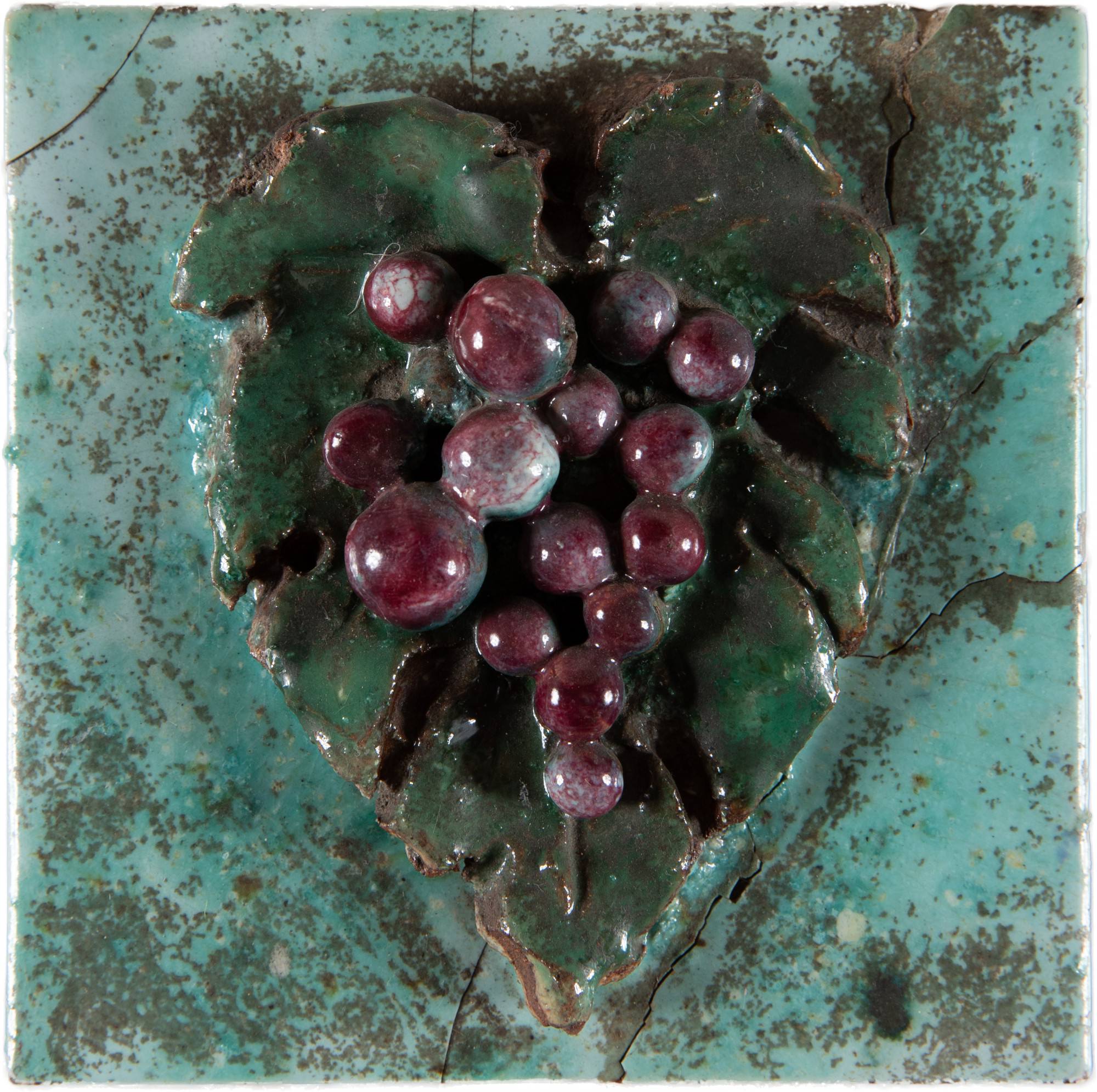 Fulvio Pennacchi - Uva