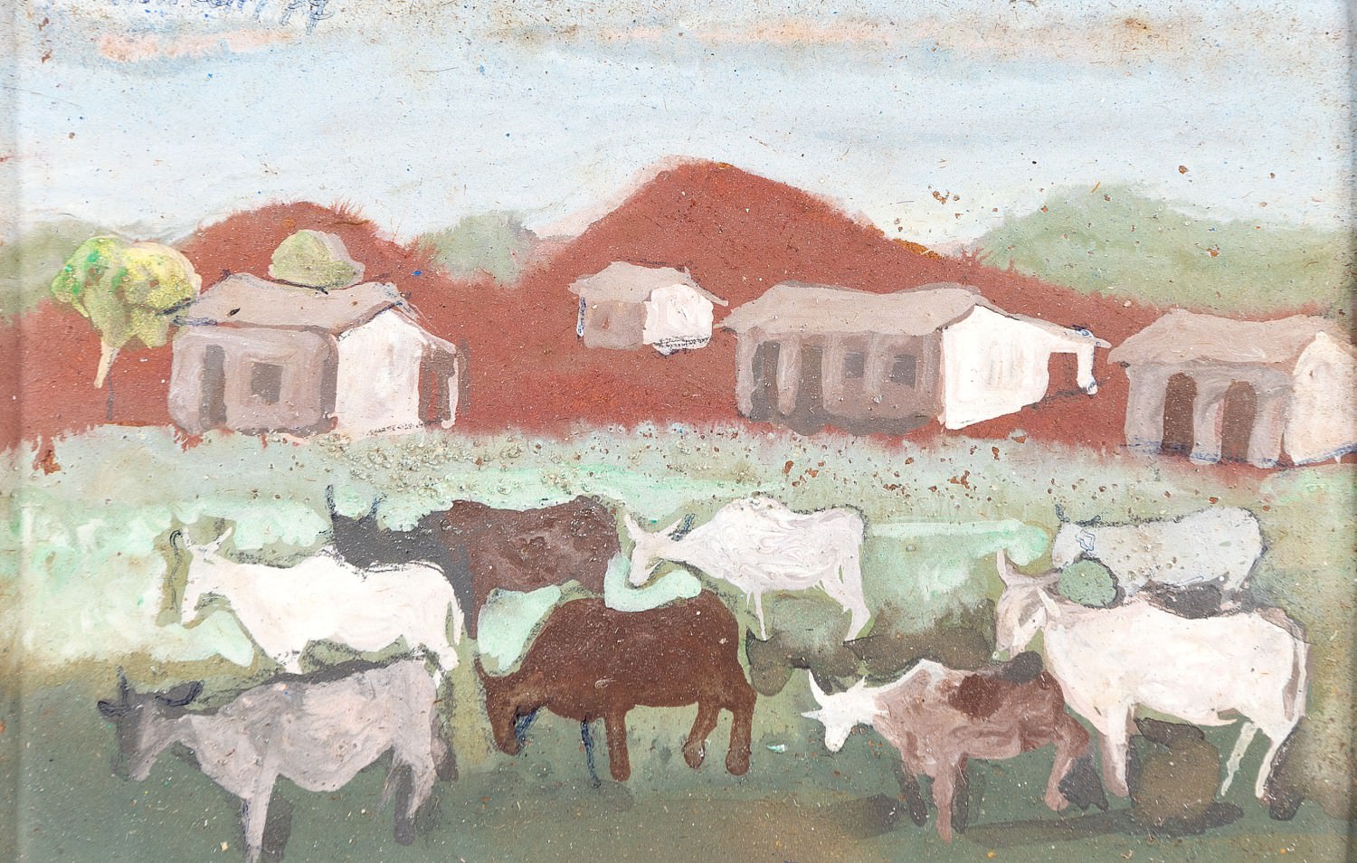 Fulvio Pennacchi - Vacas