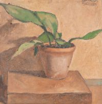 Fulvio Pennacchi - Vaso de Planta
