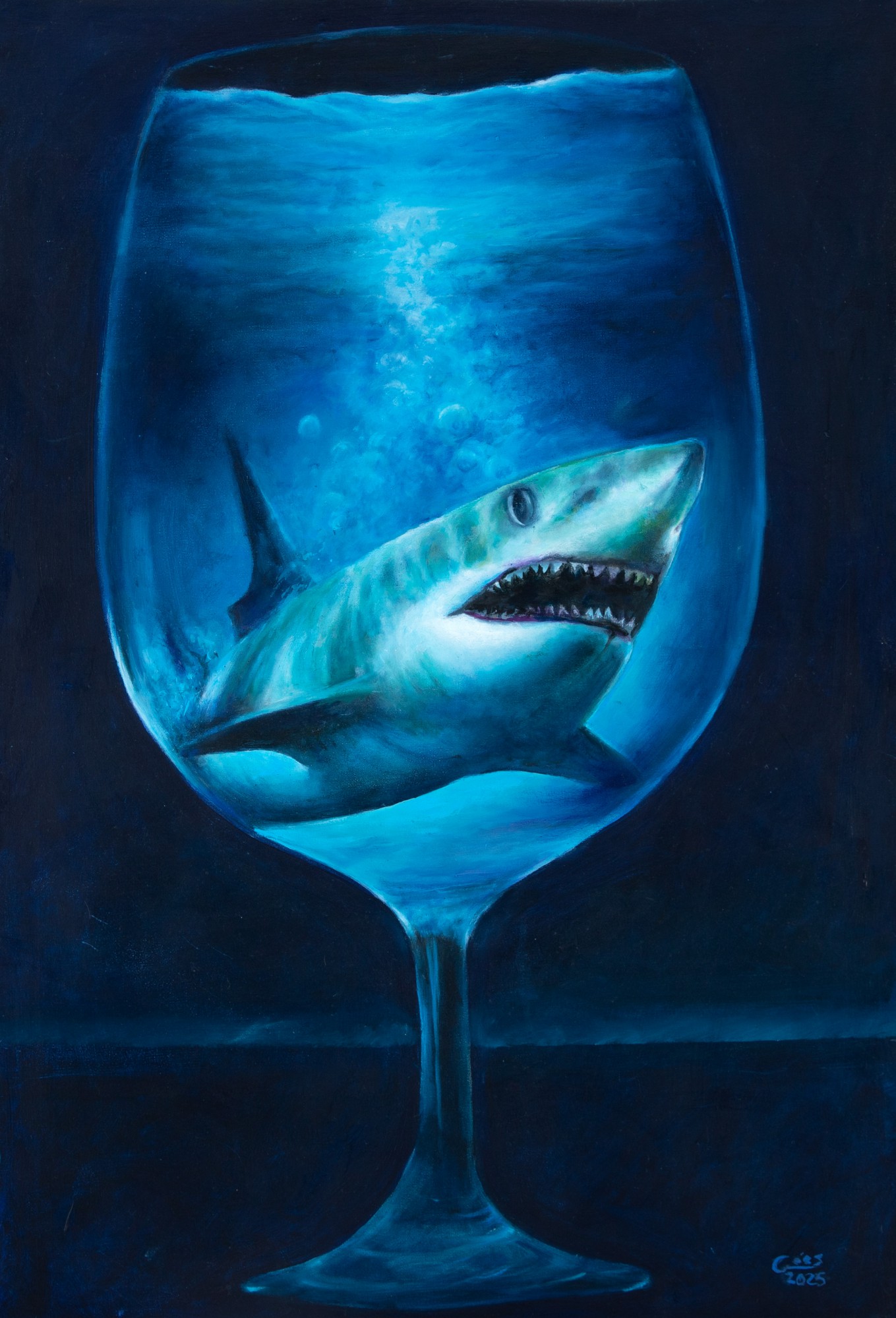 Gabriel De Goes - Tubarão