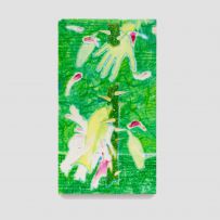 Gabriel Torggler - A Mão Ayamara