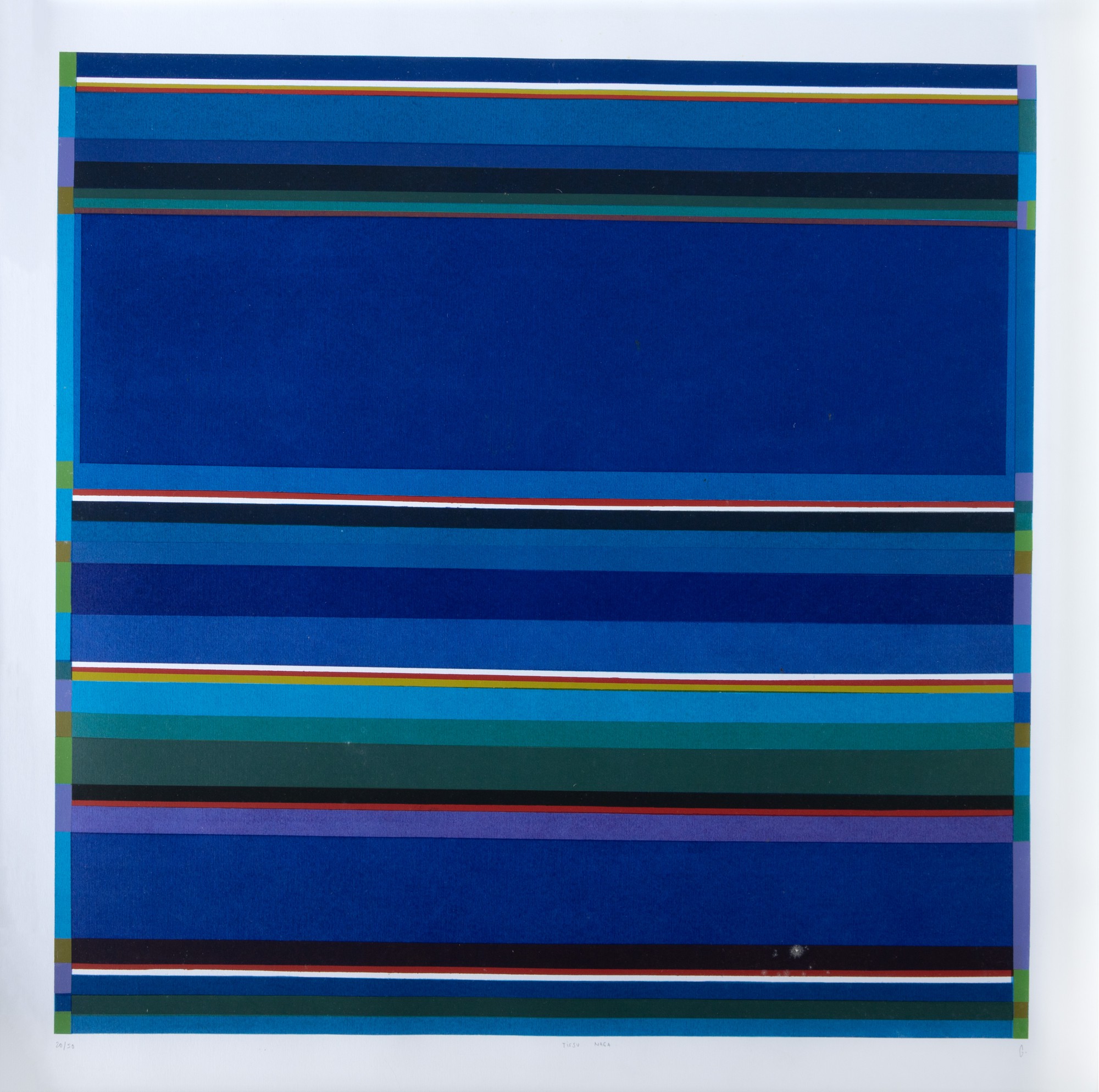 Gonçalo Ivo - Da Série Tissu Naga