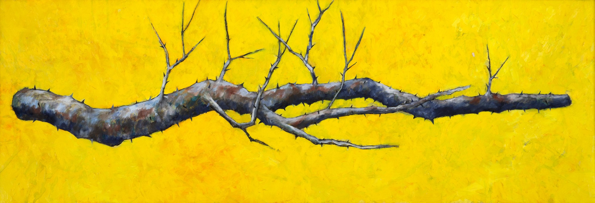 Gonçalo Ivo - Espinheiro