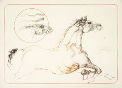 Guilherme Faria - Sem Título