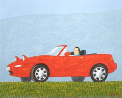 Gustavo Rosa - Série Carros - O artista no carro vermelho