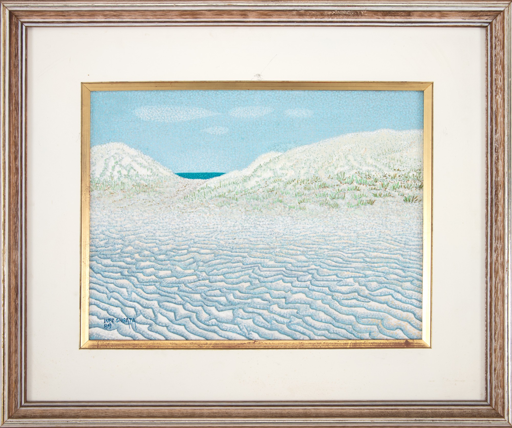 Inez Shibata - Banco De Areia