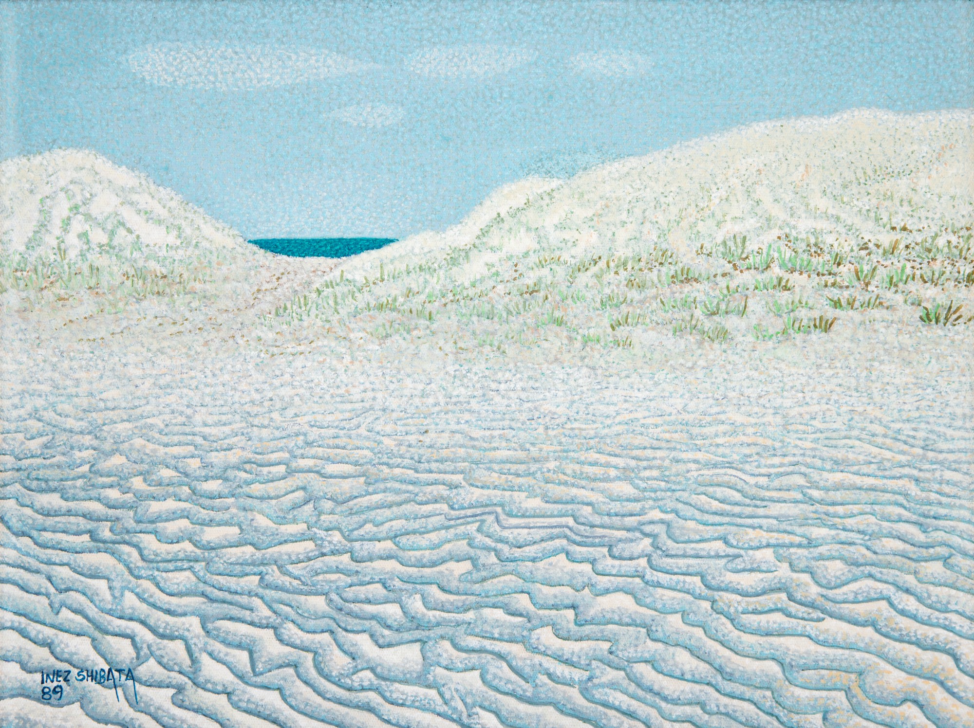 Inez Shibata - Banco De Areia