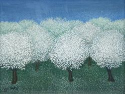 Inez Shibata - Sakura