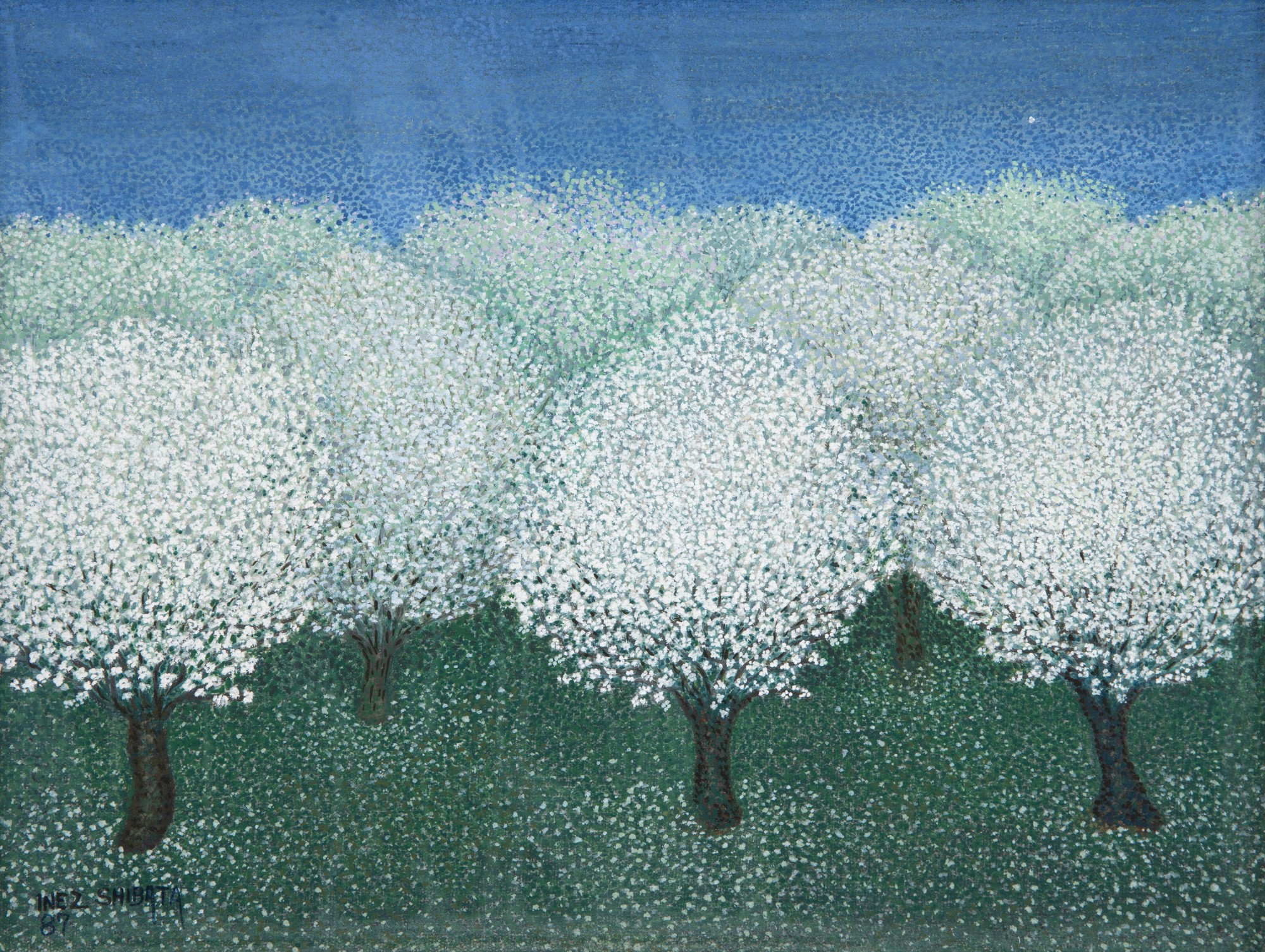 Inez Shibata - Sakura