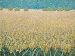 Inez Shibata - Trigal