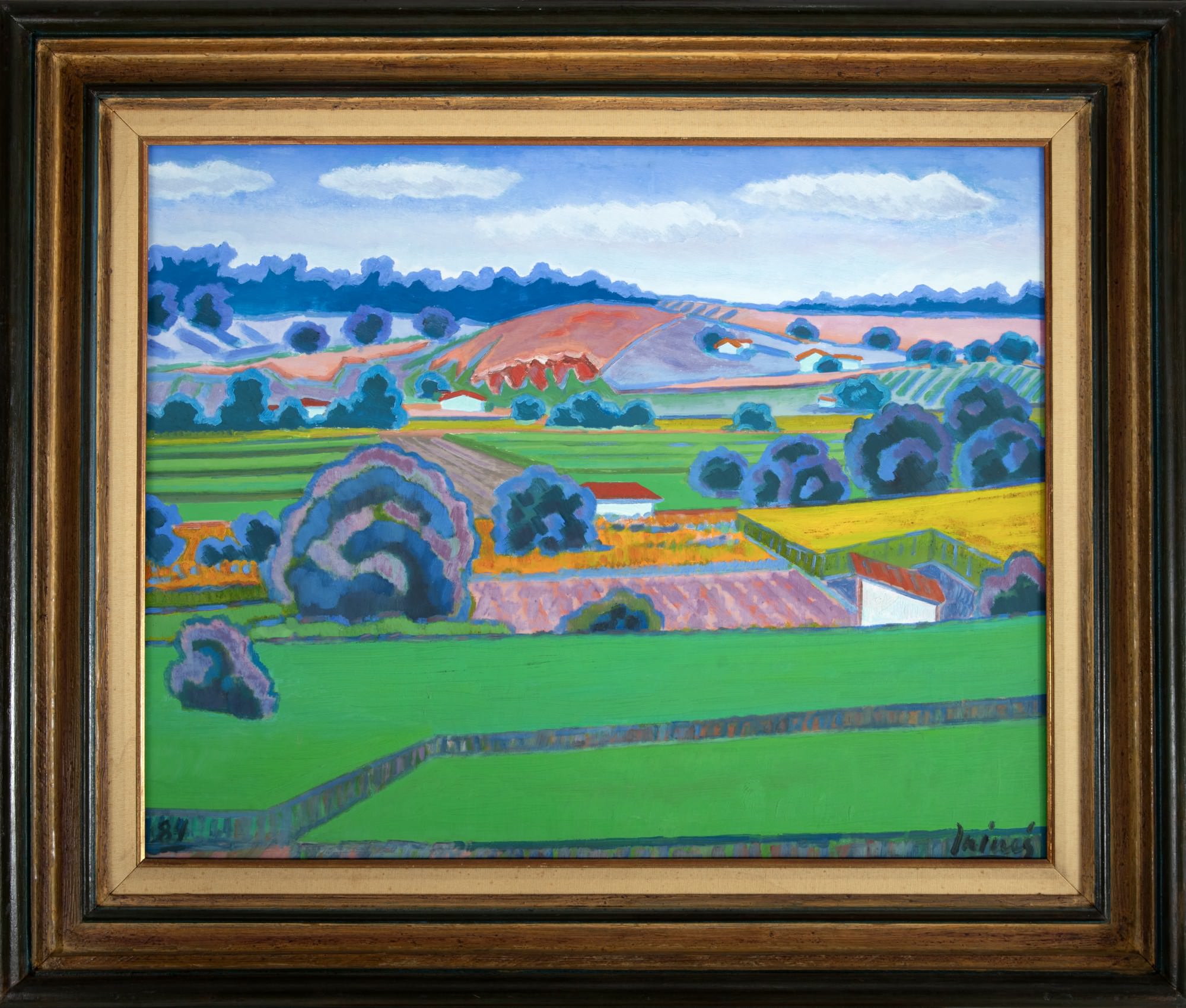 Inimá de Paula - Sem Título