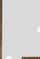 Jac Leirner - Display