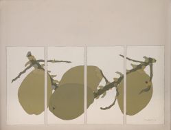 Jacintho Moraes - Côcos