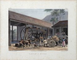 Johann Moritz Rugendas - Moulin à Sucre