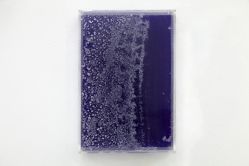 Jonas Arrabal - Riomaggiore#2, Deep Blue (Da Série Mar de Cabeceira)