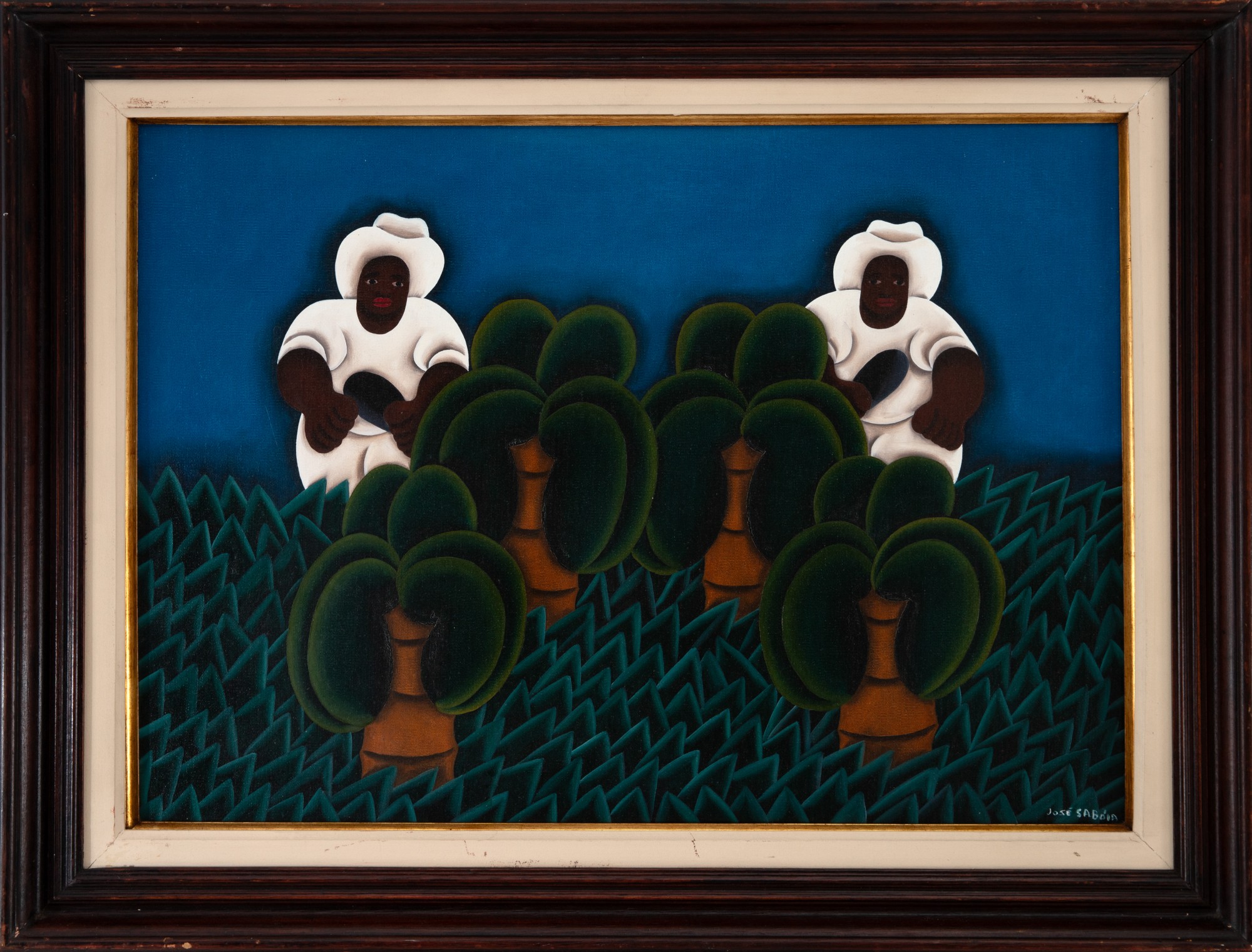 José Sabóia - Colheita