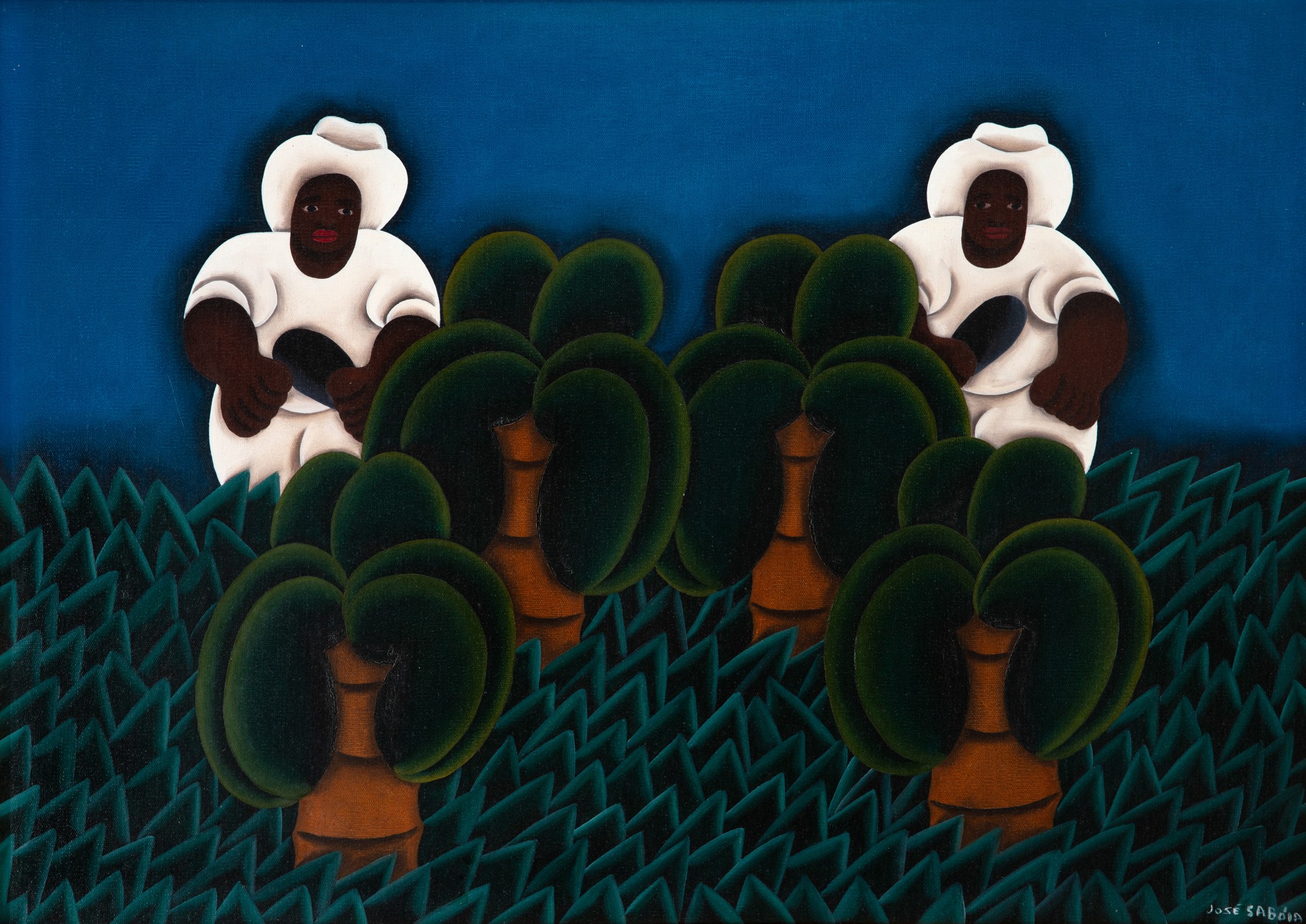 José Sabóia - Colheita