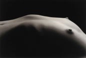 Kenro Izu - Still Life #493