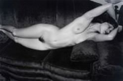 Lee Friedlander - Nude