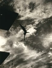 Leni Riefenstahl - Dive Form the 10 meters - Tower, Berling Olympics