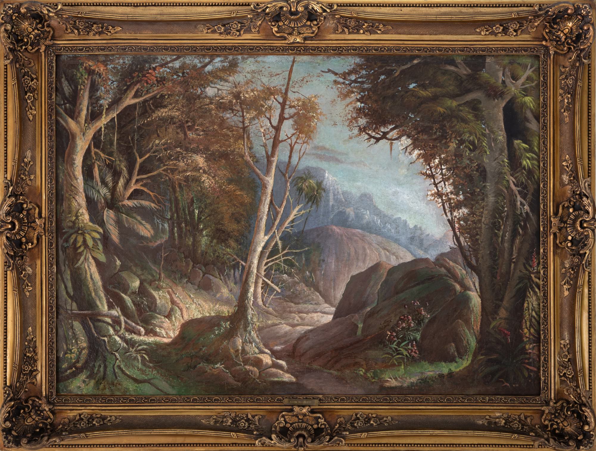 Leoncio Da Costa Vieira - Mata Virgem