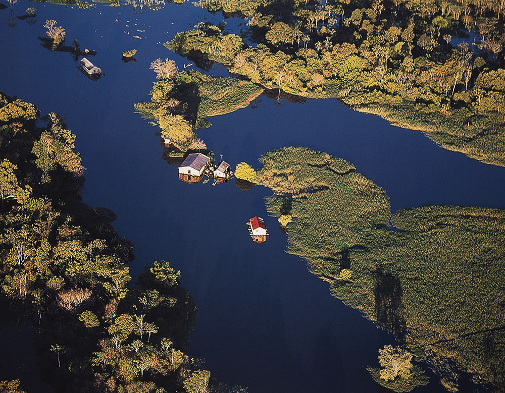 Leonide Principe - Lago Janauari, AM