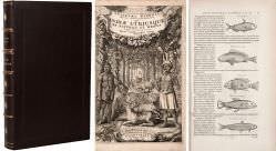 Livro - Gulielmi Pisonis Medici Amstelaedamensis