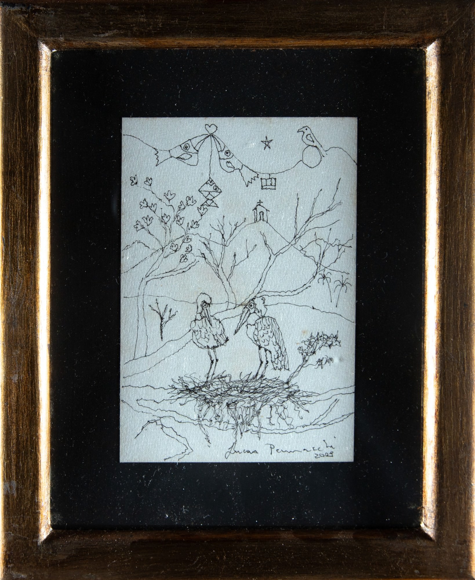 Lucas Pennacchi - Sem Título