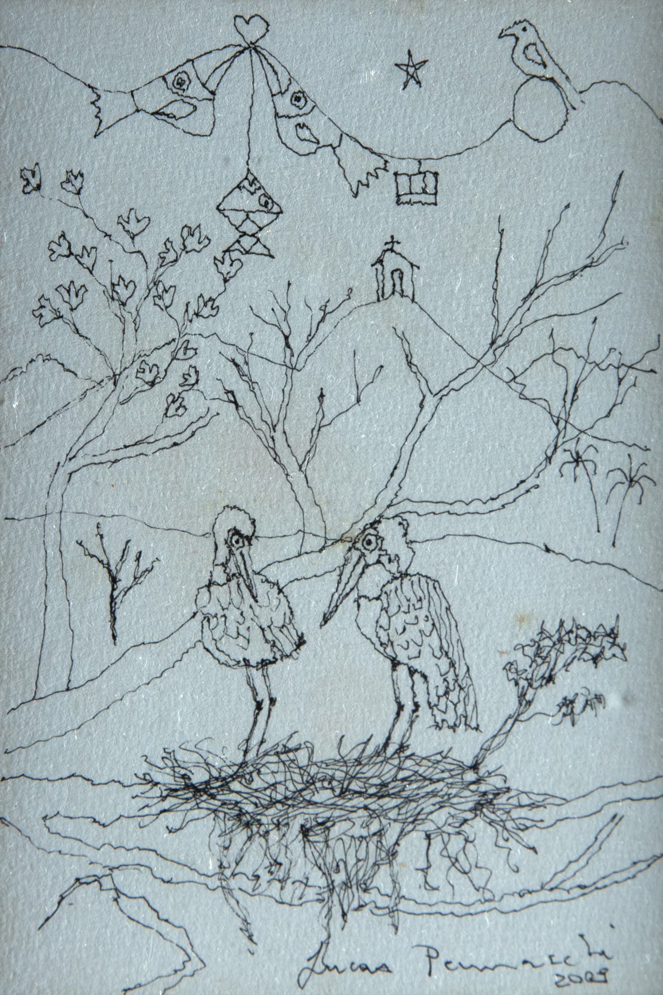 Lucas Pennacchi - Sem Título