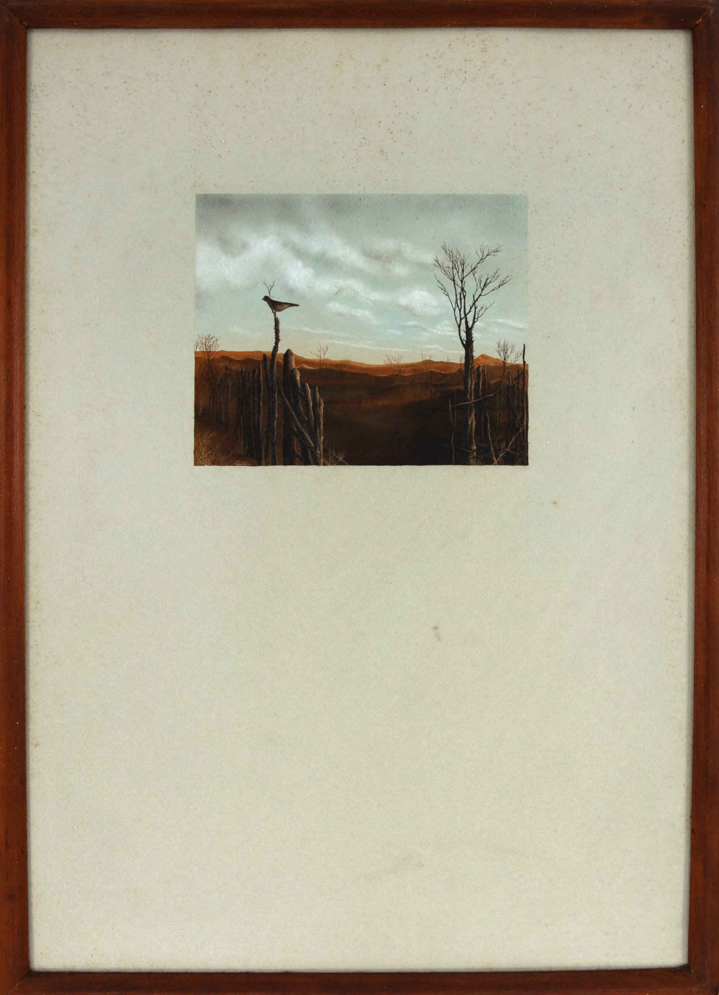 Macaparana - Sem Título