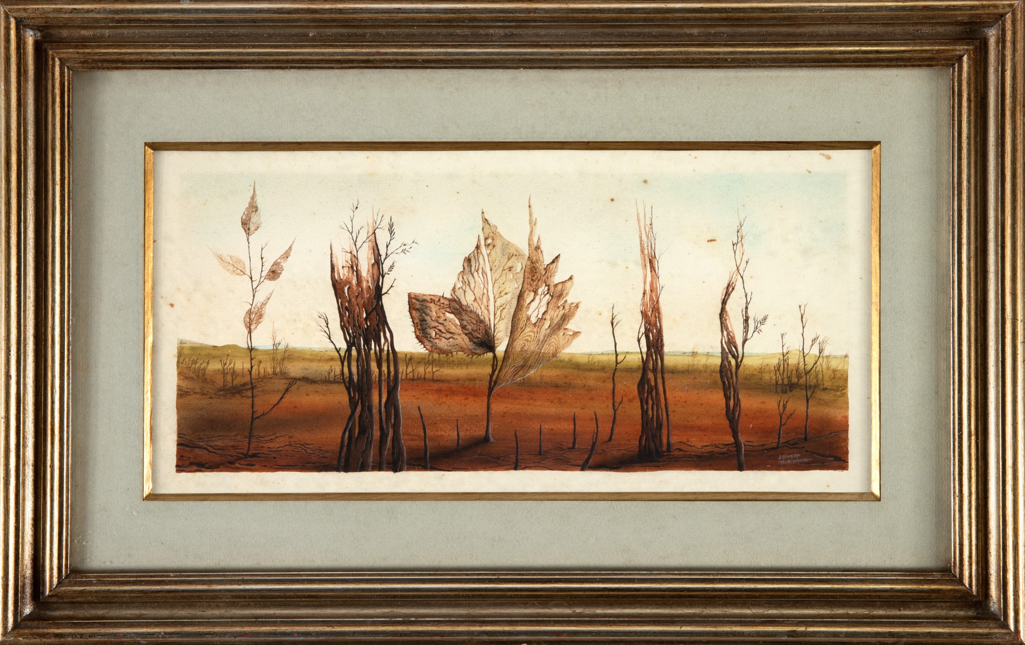 Macaparana - Sem Título