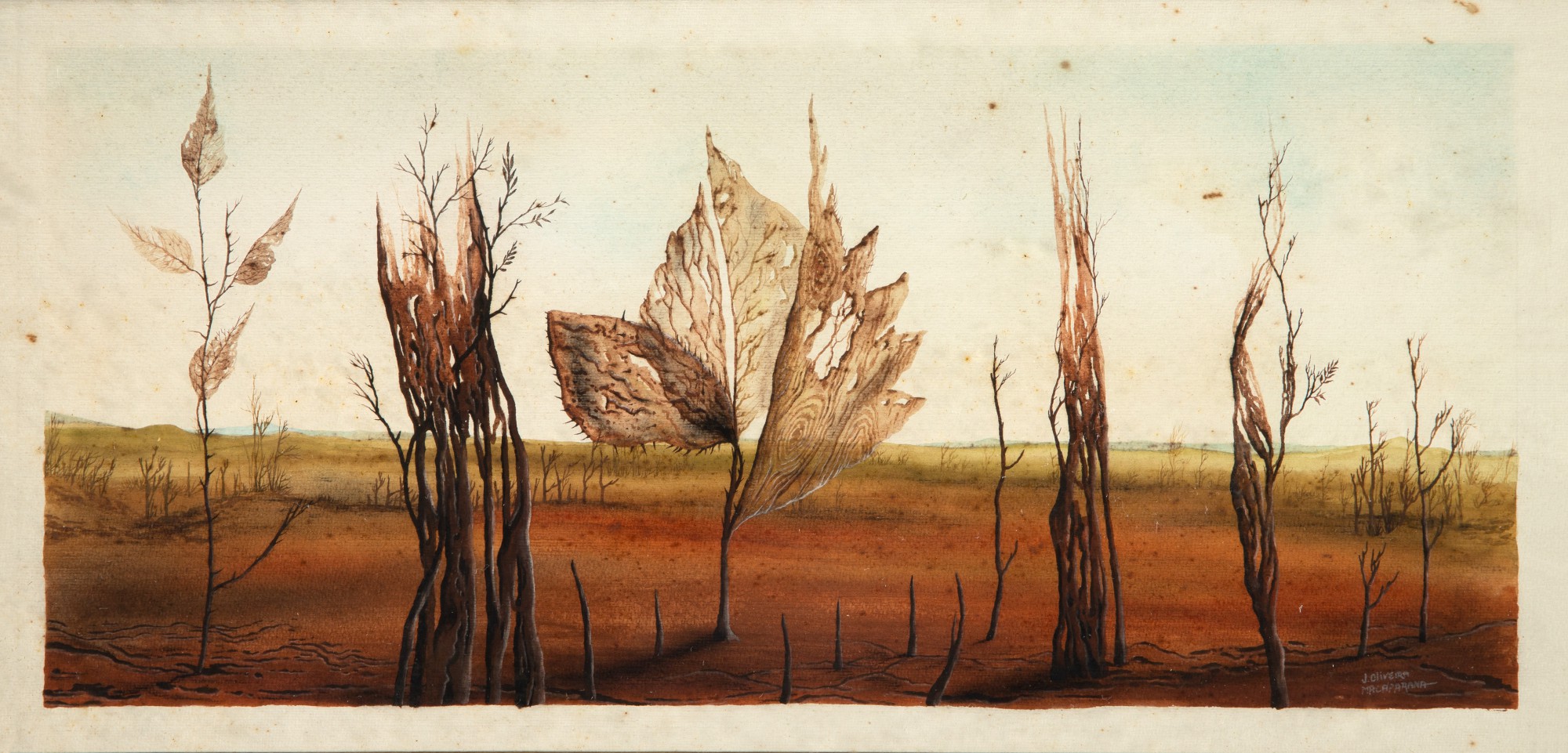 Macaparana - Sem Título