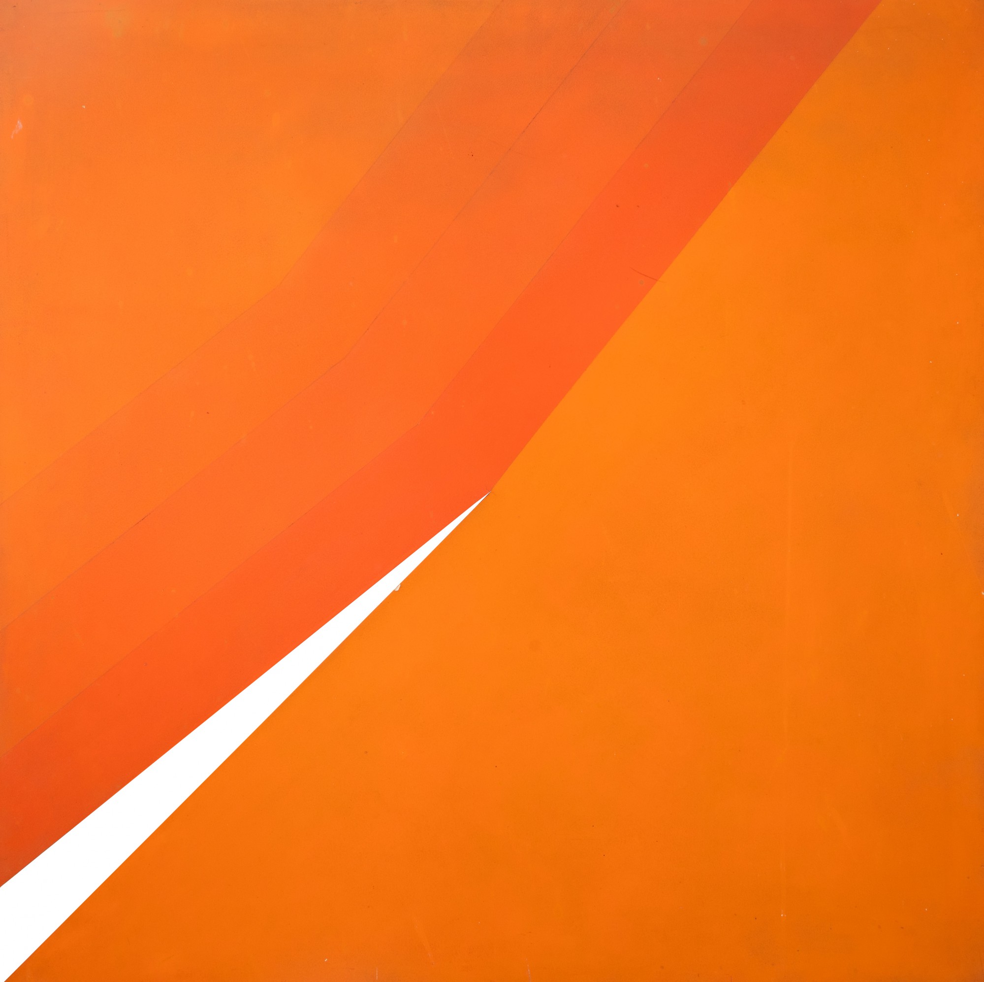 Marcia Barrozo Do Amaral - Sem Título