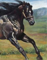 Maria Gilka - Cavalo