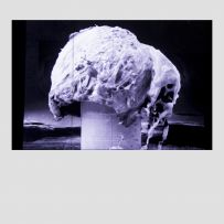 Marilia Furman - Bomba